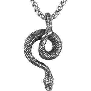 Mens Gothic Snake Gothic Stainless Steel Snake Pendant Jewelry Chain
